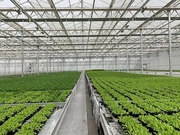 Can tidal seedbed work with NFT hydroponic system together?
