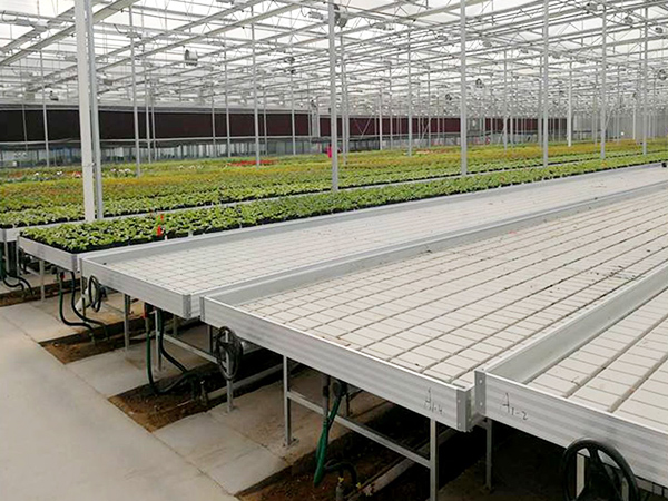 Can tidal seedbed be customized for tomato/lettuce seedling raising?
