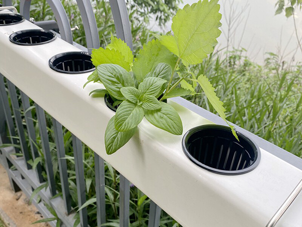 Hydroponic Trough