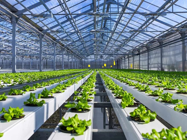 Hydroponic Channel