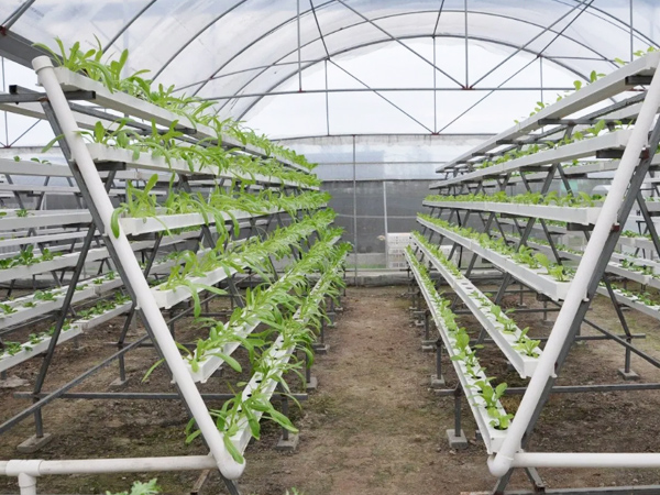 Hydroponic Grow Trough