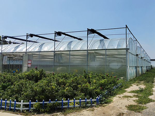 Effective Heat Preservation Measures for Greenhouses