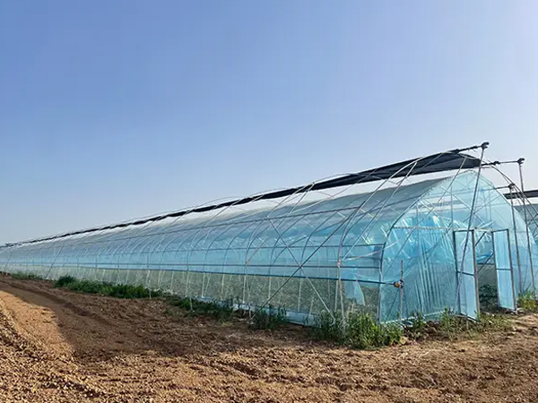 Differences Between Solar Greenhouse, Cold Frame and Arch Greenhouse
