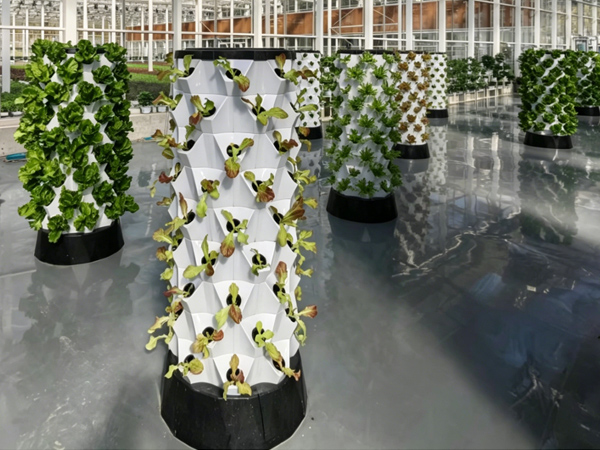 Hydroponic Tower