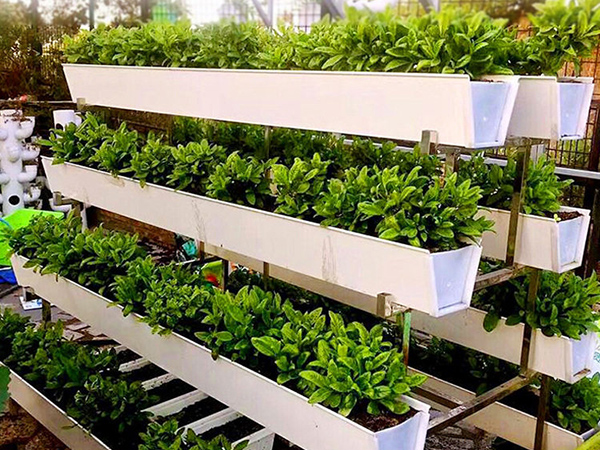 Soilless Culture Trough