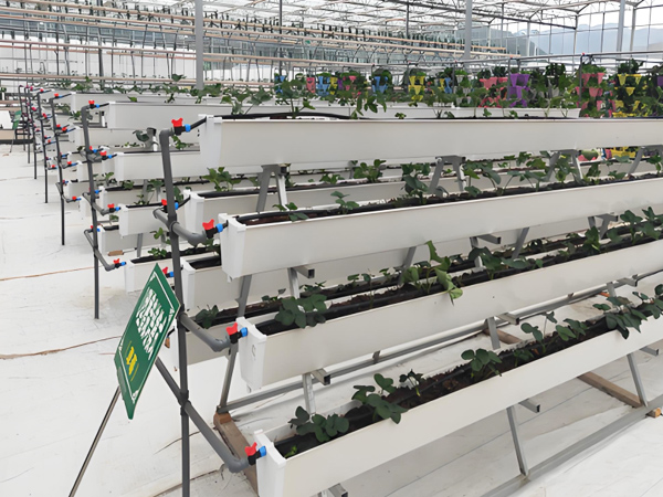 Vertical Growing Trough