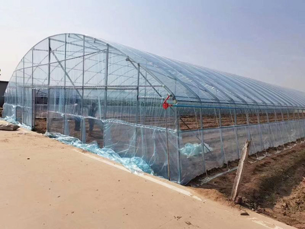 Single Greenhouse