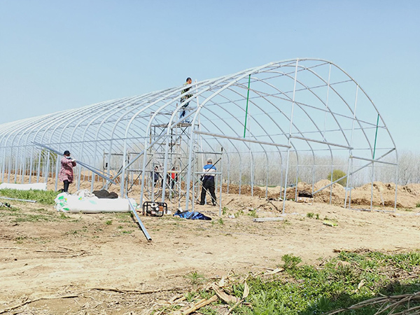 Insulated Polytunnel Greenhouse