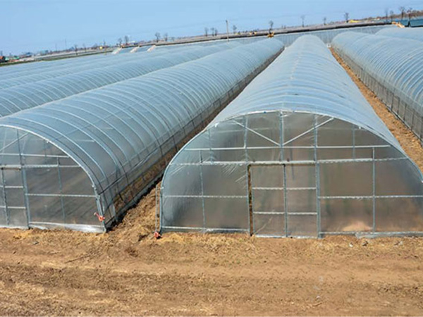 Tunnel Greenhouse