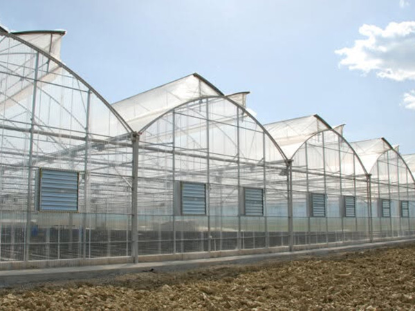 Gothic Multi-span Greenhouse