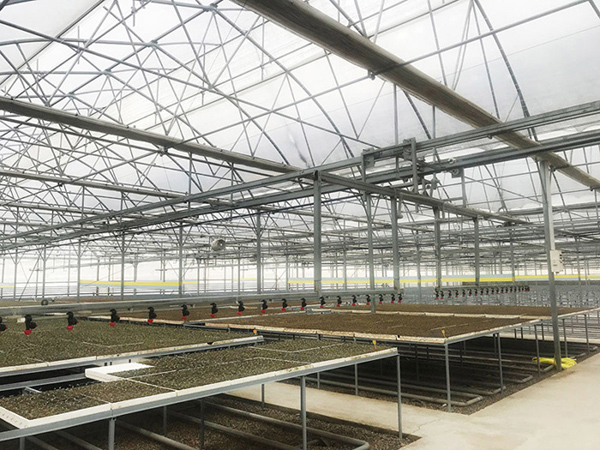 Gothic Point Arch Greenhouse