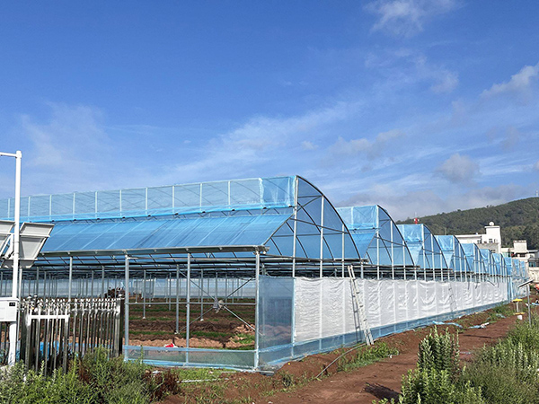 Multi-span Sawtooth Greenhouse