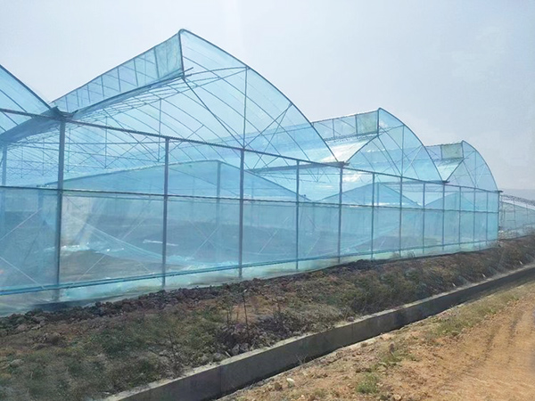 Sawtooth Arch Greenhouse
