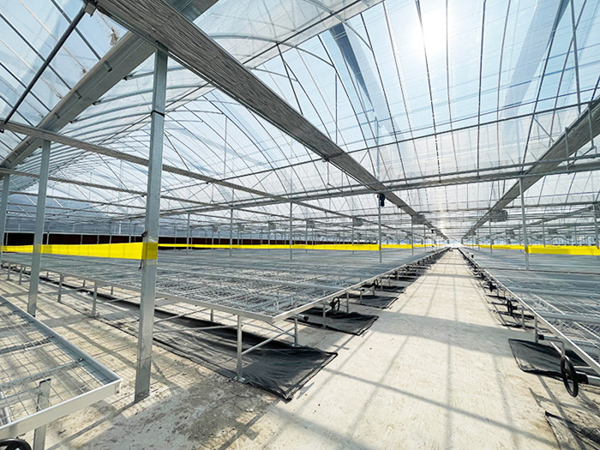 Sawtooth Roof Greenhouse