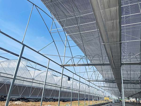 Natural Ventilation Sawtooth Greenhouse