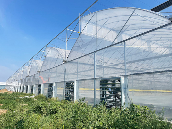 Saw-tooth Film/Polycarbonate Greenhouse