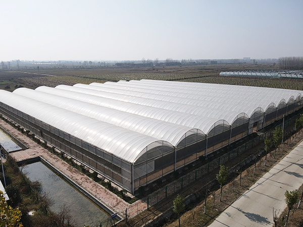 Double Layer Plastic Film Greenhouse