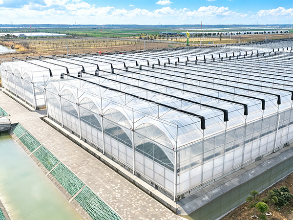 Double-film Covered Double Arch Greenhouse