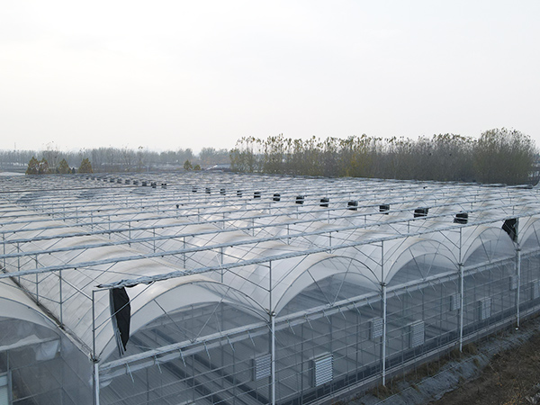Double-arch Double-film Greenhouse