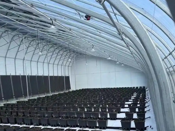 Double Arch Tunnel Greenhouse