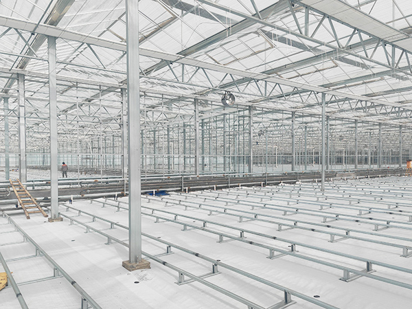 Sunshine Board Greenhouse
