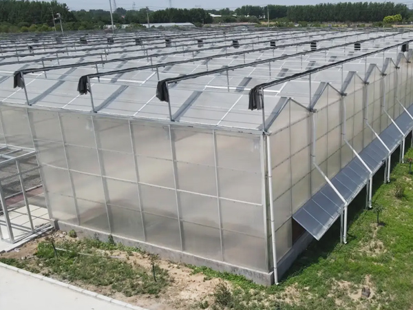 Polycarbonate Greenhouse