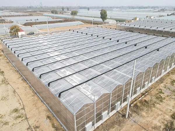 Polycarbonate Panel Greenhouse