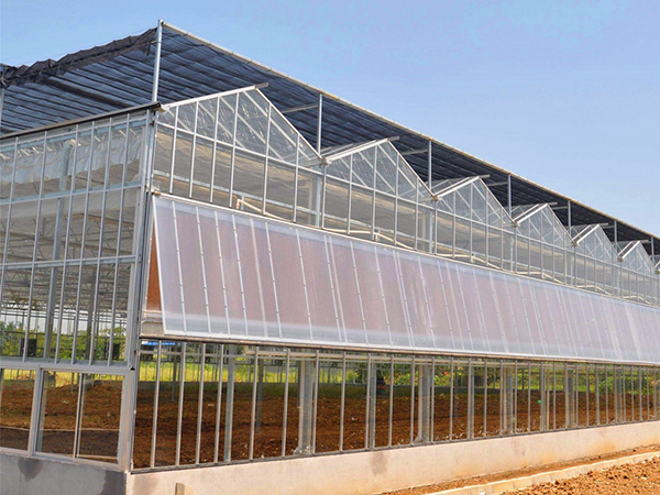 Single-span Polycarbonate Greenhouse