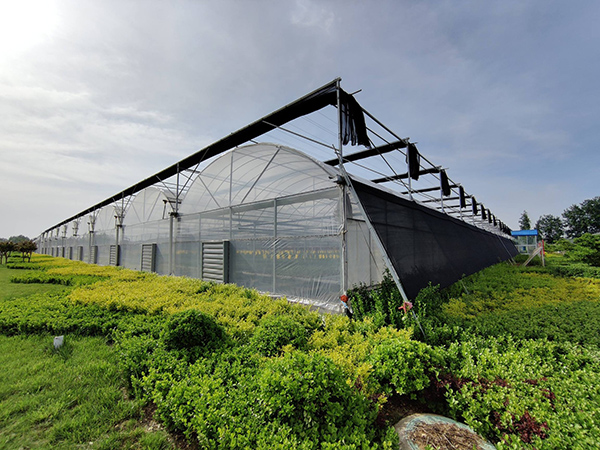 Multi-Span Tunnel With External Shade Screen