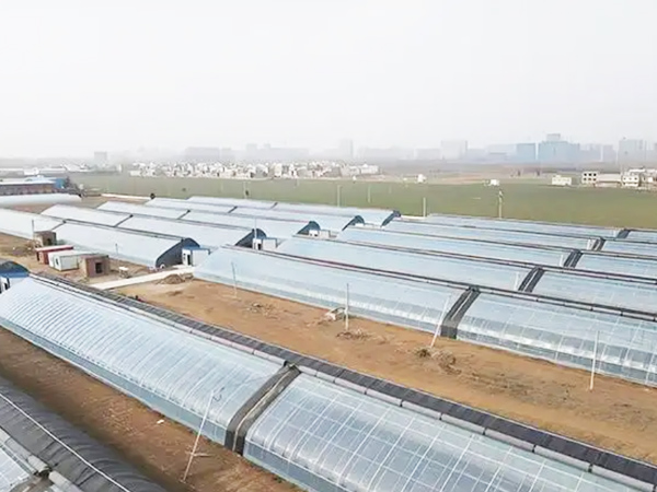 Cold Winter Overwintering Greenhouse