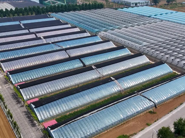 Glass Greenhouse