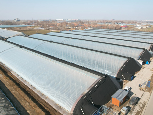 Solar Greenhouse