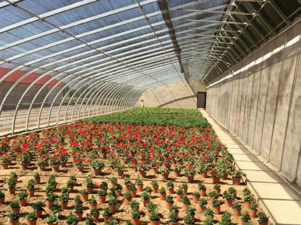 Winter Warm Solar Greenhouse