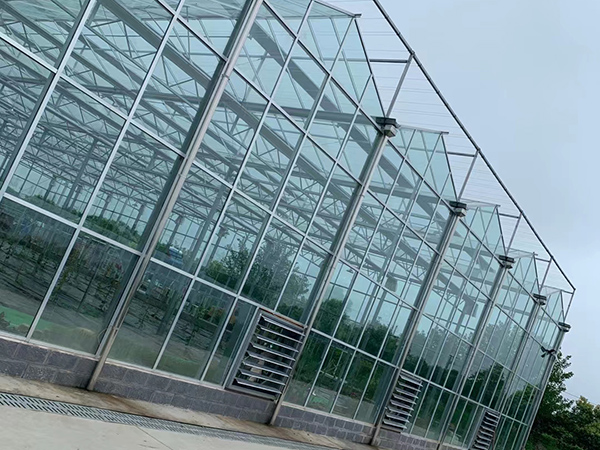 Multi-Span Glass Greenhouse