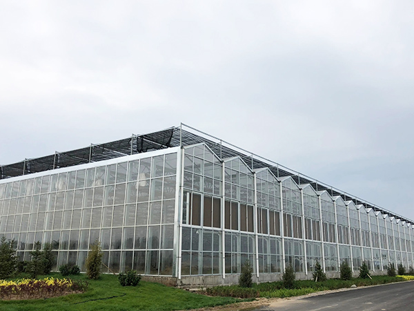 Multi-Span Tempered Glass Greenhouse