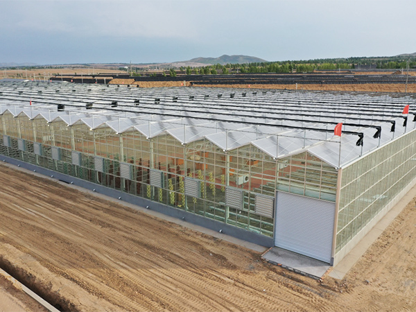 Intelligent Insulated Glass Greenhouse