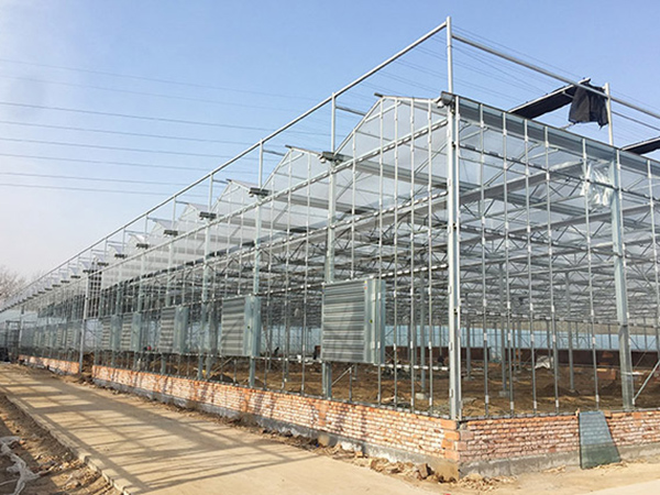 Automatic Glass Greenhouse
